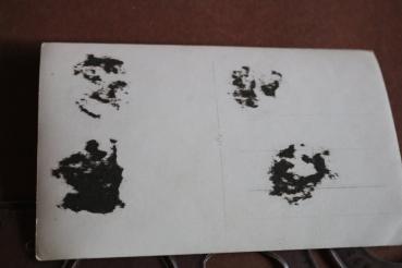 Preview: tolles Portrait eines R.A.D.-Mannes - Abteilung 237/6